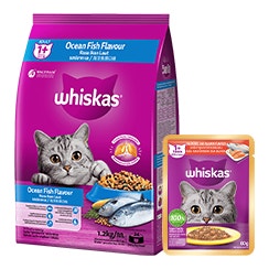 Makanan Kucing Usia 1+
