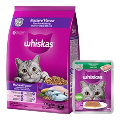 Makanan Kucing Usia 7+