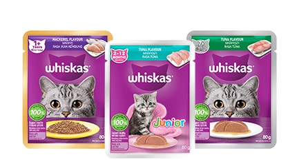 Makanan Kucing Basah
