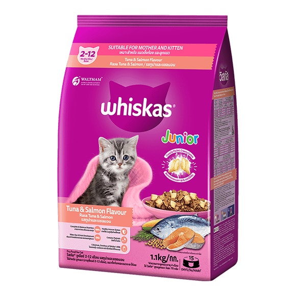 image 8853301013222-kitten