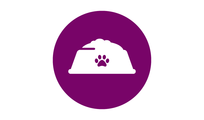 kitten food icon
