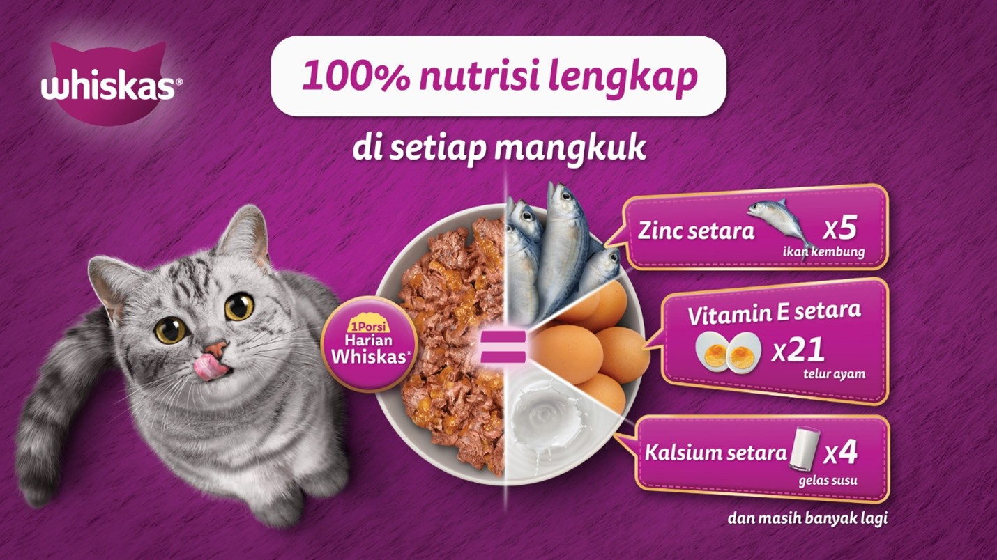 100%nutrisi lengkap di setiap mangkuk